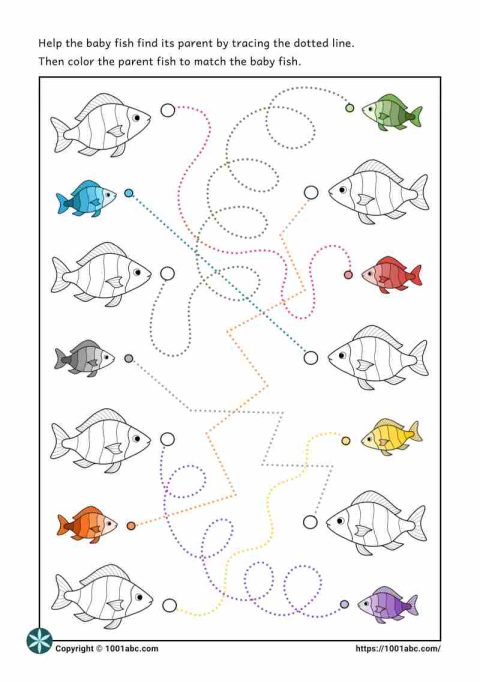 Color recognition tracing lines fish preschool kindergarten worksheet for kids